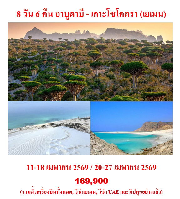 8 วัน 6 คืน อาบูดาบี - เกาะโซโคตรา (เยเมน)