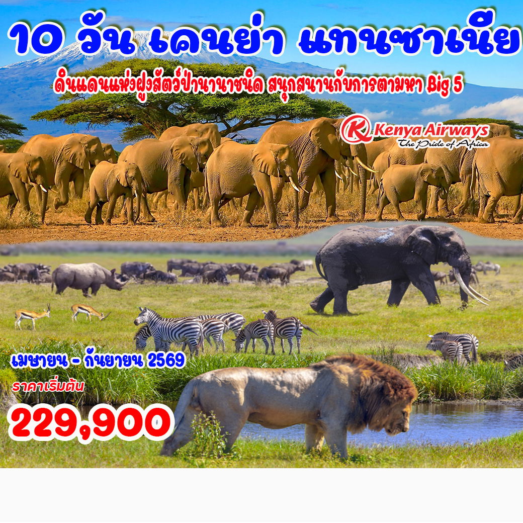 10 วัน เคนย่า แทนซาเนีย